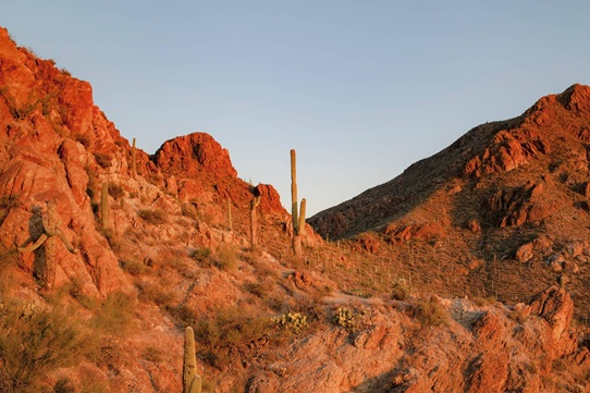 Arizona Desert